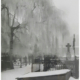 zwart-wit foto in de winter met sneeuw